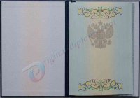 Диплом магистра  2011-2013 год